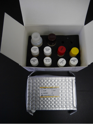 Антимуллерианский гормон AMH Elisa Test Kit Для применения у людей с сывороточной плазмой