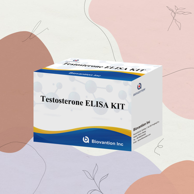 Тест диагностики заболеваний человека Тест остерона Elisa Test Kit с 96 тестом для больницы
