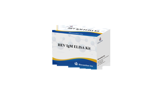 Лабораторные или больничные антитела IgG к вирусу гепатита E HEV Elisa Test Kit