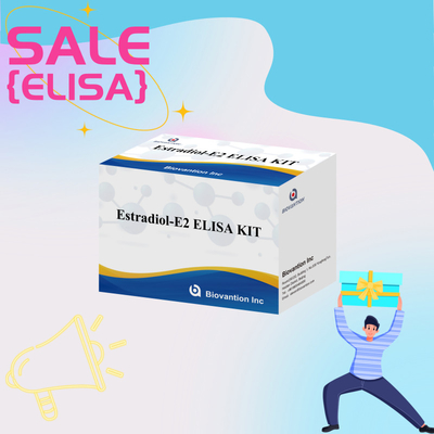 Производственная цена E2 ELISA Test Kit In Vitro Detection Медицинское выявление Высокая точность