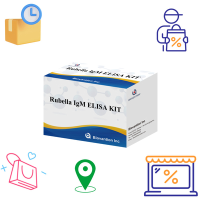 Elisa Test Kit For Rubella IgM Инструмент обнаружения антител IgG для краснухи при использовании у людей