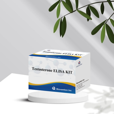 Антитело к тестостерону Elisa Test высокоэффективный Elisa Test Kit IVD реагент