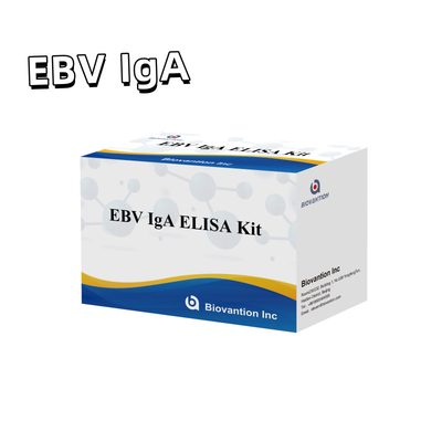 Набор испытаний EBV HUMAN ELISA 2-8°C Диагностический набор чувствительности для IgA антитела к EBV-EA