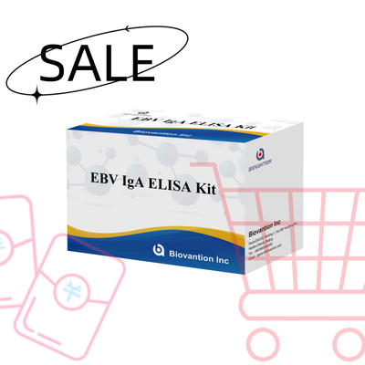 Набор испытаний EBV HUMAN ELISA 2-8°C Диагностический набор чувствительности для IgA антитела к EBV-EA