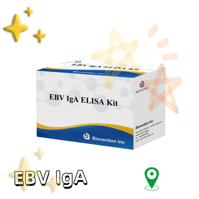 Набор испытаний EBV HUMAN ELISA 2-8°C Диагностический набор чувствительности для IgA антитела к EBV-EA