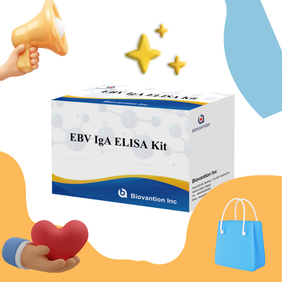 Набор испытаний EBV HUMAN ELISA 2-8°C Диагностический набор чувствительности для IgA антитела к EBV-EA