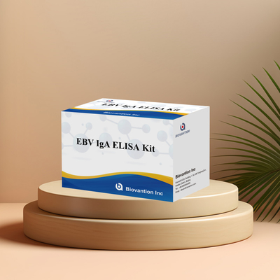Набор испытаний EBV HUMAN ELISA 2-8°C Диагностический набор чувствительности для IgA антитела к EBV-EA