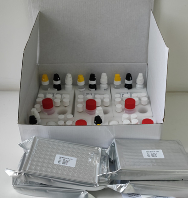 Лабораторный или больничный высокоточный тест H.Pylori IgG Elisa