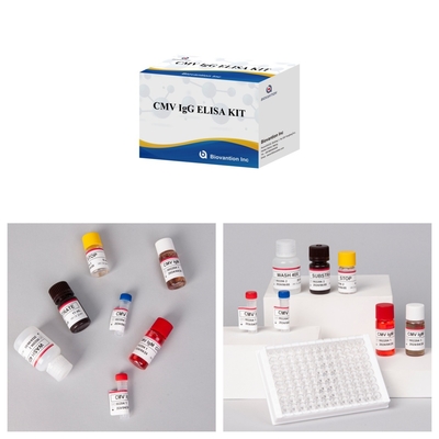 Реагенты иммуноанализа ферментов Elisa Test Kit для обнаружения антител к цитомегаловирусу CMV