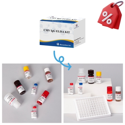 Реагенты иммуноанализа ферментов Elisa Test Kit для обнаружения антител к цитомегаловирусу CMV
