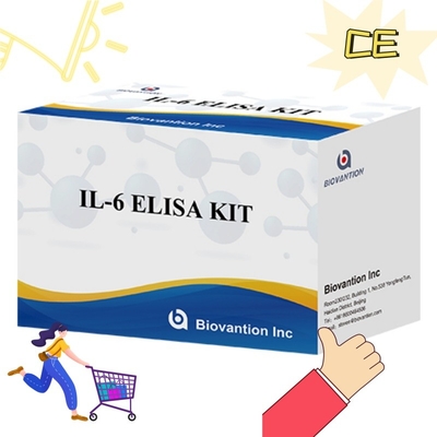 Набор ELISA высокой чувствительности для выявления IL6 Надежные исследовательские реагенты для точного анализа цитокинов