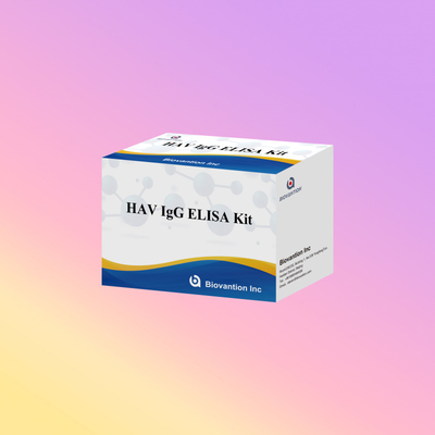 Высокая чувствительность HAV IgG ELISA Kit Точное обнаружение вируса гепатита А Надежное сертификация CE для клинического и исследовательского использования