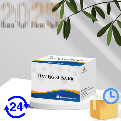 Высокая чувствительность HAV IgG ELISA Kit Точное обнаружение вируса гепатита А Надежное сертификация CE для клинического и исследовательского использования