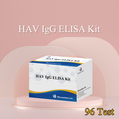 Высокая чувствительность HAV IgG ELISA Kit Точное обнаружение вируса гепатита А Надежное сертификация CE для клинического и исследовательского использования