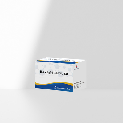 HAV IgM ELISA Kit Высокая чувствительность Гепатит А Вирусная диагностика Надежный точный диагностический тест для клинических лабораторий