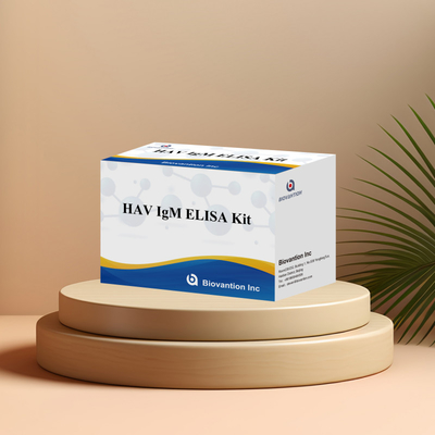 HAV IgM ELISA Kit Высокая чувствительность Гепатит А Вирусная диагностика Надежный точный диагностический тест для клинических лабораторий