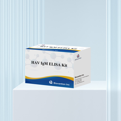 HAV IgM ELISA Kit Высокая чувствительность Гепатит А Вирусная диагностика Надежный точный диагностический тест для клинических лабораторий