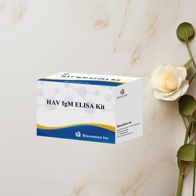 HAV IgM ELISA Kit Высокая чувствительность Гепатит А Вирусная диагностика Надежный точный диагностический тест для клинических лабораторий