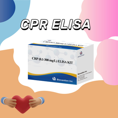 Точный CRP 0,1-300 Mg/L Elisa Test Kit для чувствительного обнаружения биологических веществ