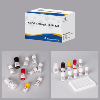 Точный CRP 0,1-300 Mg/L Elisa Test Kit для чувствительного обнаружения биологических веществ