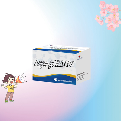 Высокопроизводительный тест на денге IgG Elisa для получения чувствительных и специфических результатов