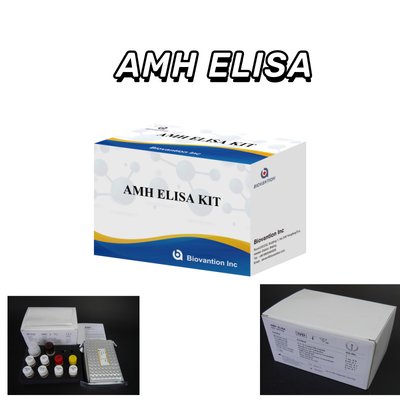 Высокочувствительный антимуллерианский гормон / AMH Elisa Kit для точной и быстрой выявления заболевания