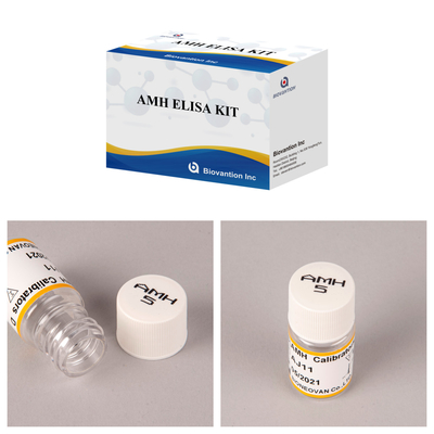 Высокочувствительный антимуллерианский гормон / AMH Elisa Kit для точной и быстрой выявления заболевания