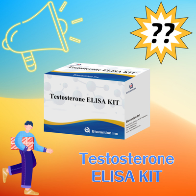 Набор испытаний высокопроизводительного тестостерона Elisa для точной количественной оценки биомаркеров