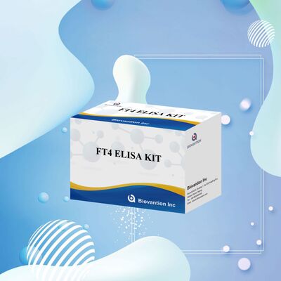 Точный набор для ИФА-анализа FT4 с 98% специфичностью и 95% чувствительностью для диагностики заболеваний щитовидной железы (96 тестов)