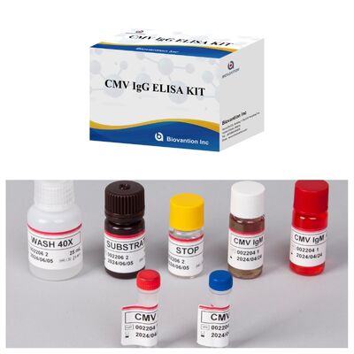 96T CMV ELISA тест-кит с колориметрическим обнаружением и сэндвичевым методом для обнаружения антител к цитомегаловирусу