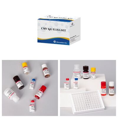 96T CMV ELISA тест-кит с колориметрическим обнаружением и сэндвичевым методом для обнаружения антител к цитомегаловирусу