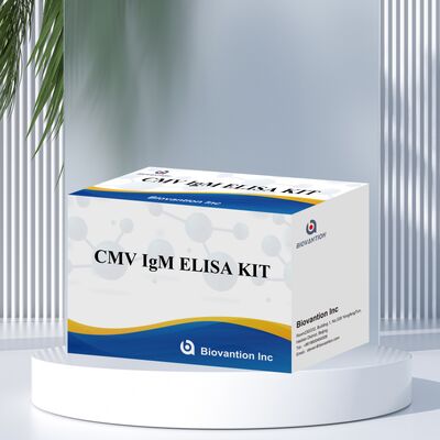 96T CMV ELISA тест-кит с колориметрическим обнаружением и сэндвичевым методом для обнаружения антител к цитомегаловирусу