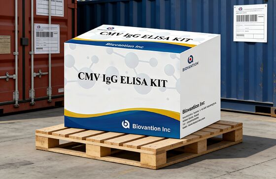 Лабораторный или больничный тест на высокую точность CMV IgG Elisa