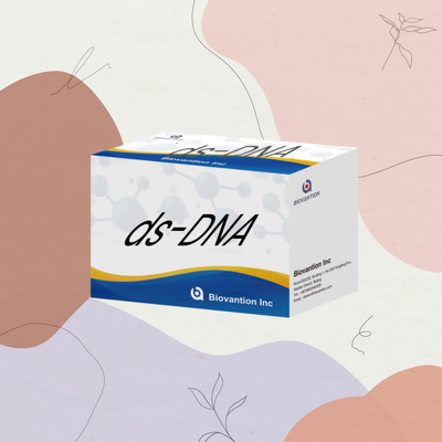 Biovantion ds-DNA Sensitivity ELISA Test Kit IVD реагент для использования у людей