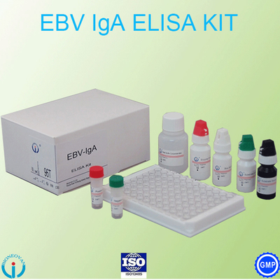 Образец плазмы теста Immunoassay энзима набора теста ELISA EBV-VCA IgA Ab