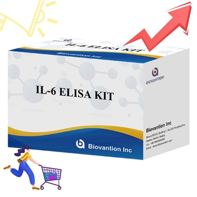 Набор ELISA высокой чувствительности для выявления IL6 Надежные исследовательские реагенты для точного анализа цитокинов