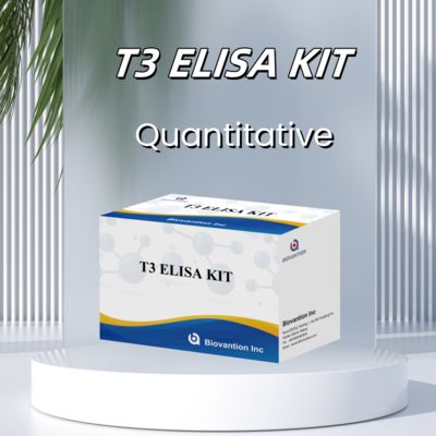 BIOVANTION T3 Medical Diagnosis ELISA Test Kit With High Specificity