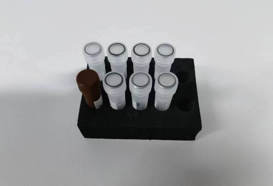 Высококачественное ПЦР-тест на денгу с 48 тестами