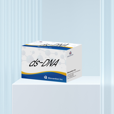 Biovantion ds-DNA Sensitivity ELISA Test Kit IVD реагент для использования у людей